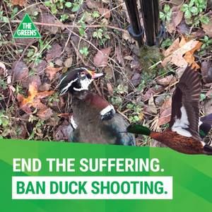 Meet your Posher, Chase